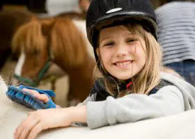 A girl brushing a horse with a brush